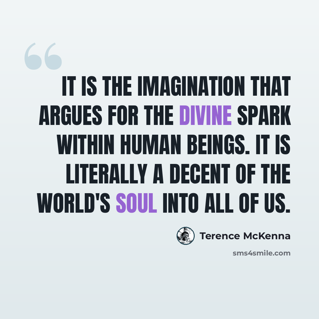 “It is the imagination that argues for the Divine Spark within human beings. It is literally a decent of the World's Soul into all of us.” quote by Terence McKenna