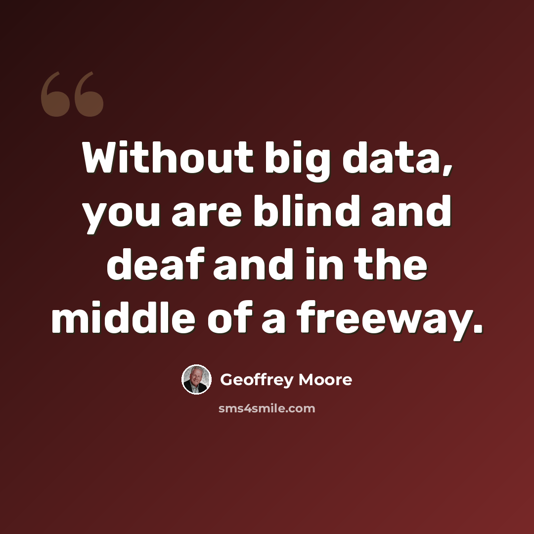 “Without big data, you are blind and deaf and in the middle of a freeway.” quote by Geoffrey Moore