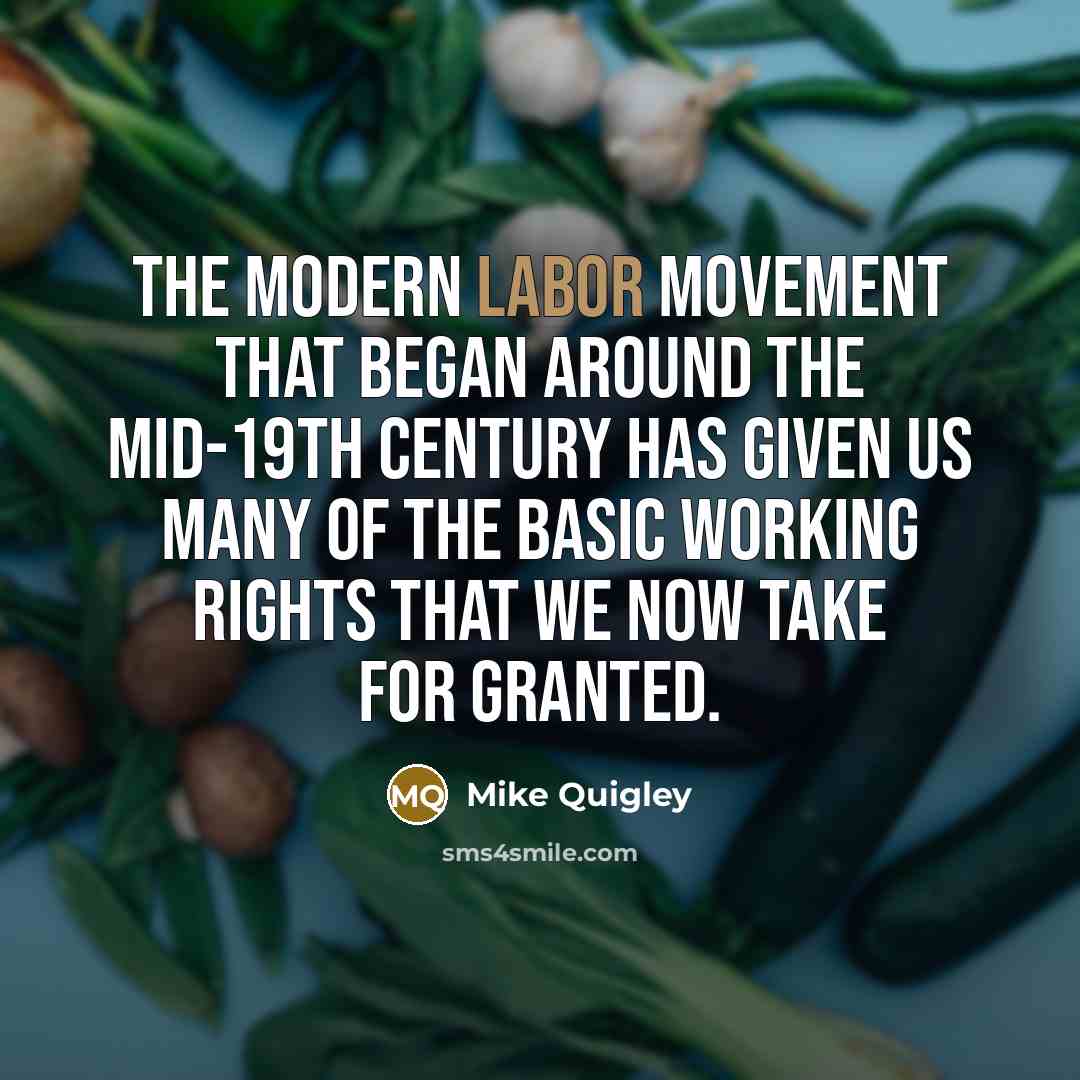 “The modern labor movement that began around the mid-19th century has given us many of the basic working rights that we now take for granted.” quote by Mike Quigley