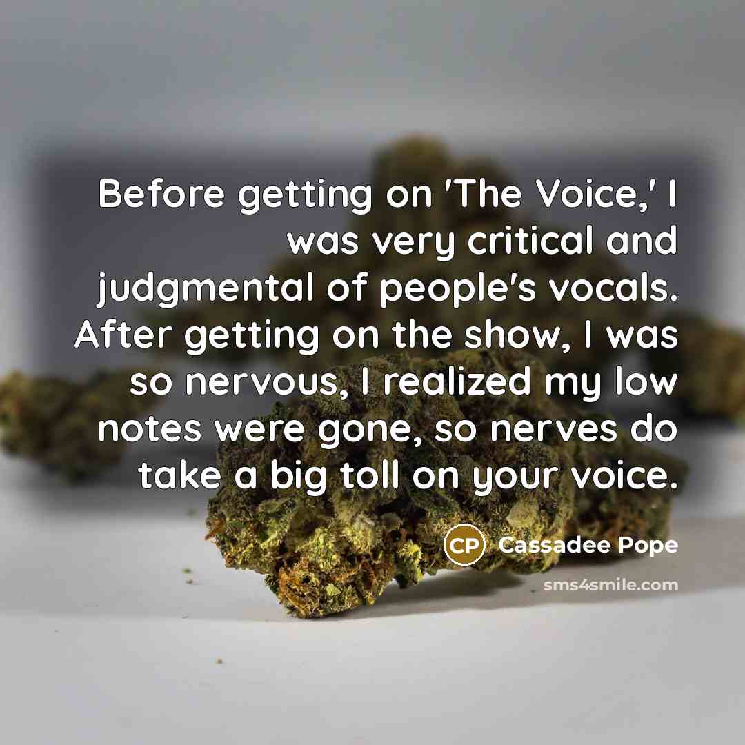 “Before getting on 'The Voice,' I was very critical and judgmental of people's vocals. After getting on the show, I was so nervous, I realized my low notes were gone, so nerves do take a big toll on your voice.” quote by Cassadee Pope