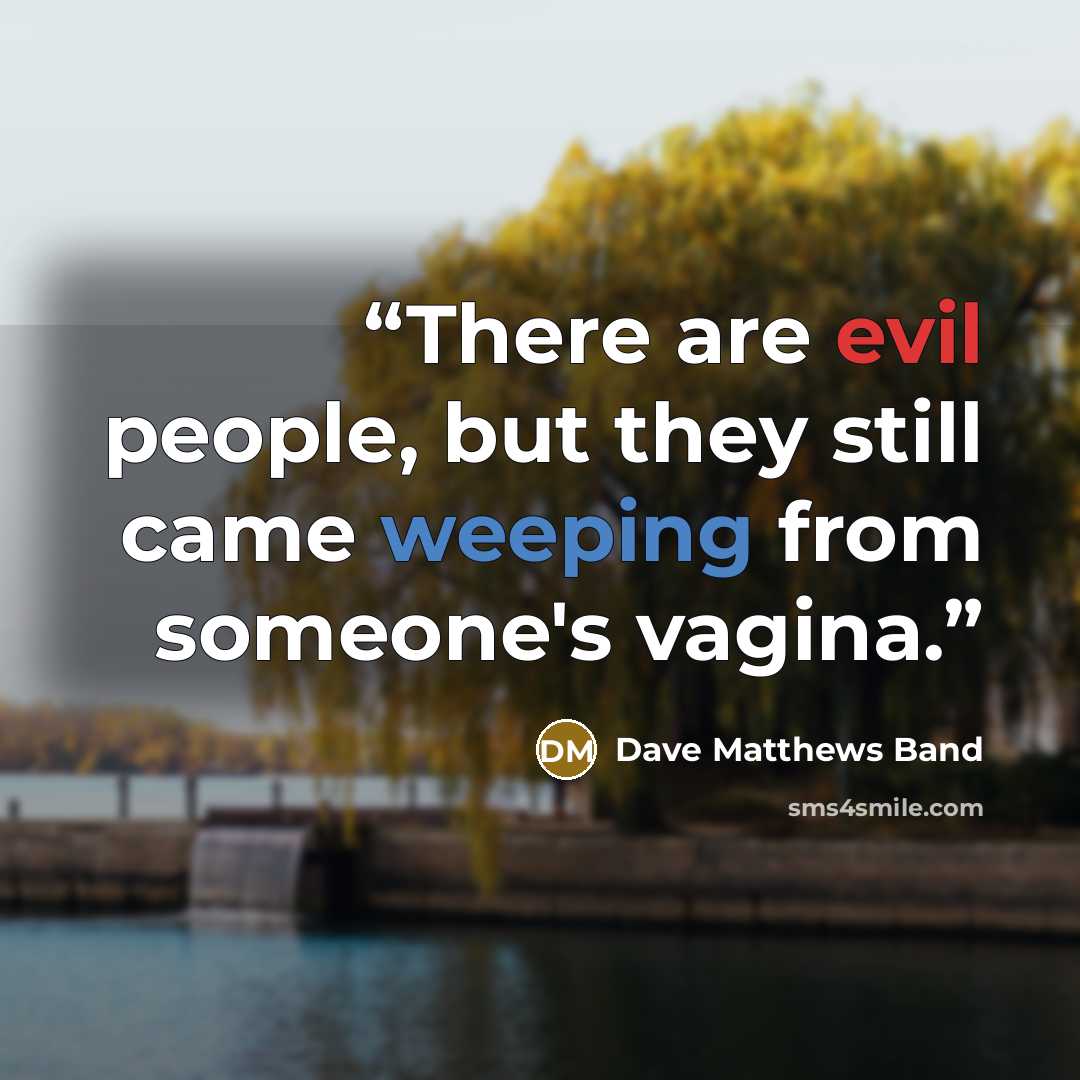 “There are evil people, but they still came weeping from someone's vagina.” quote by Dave Matthews Band