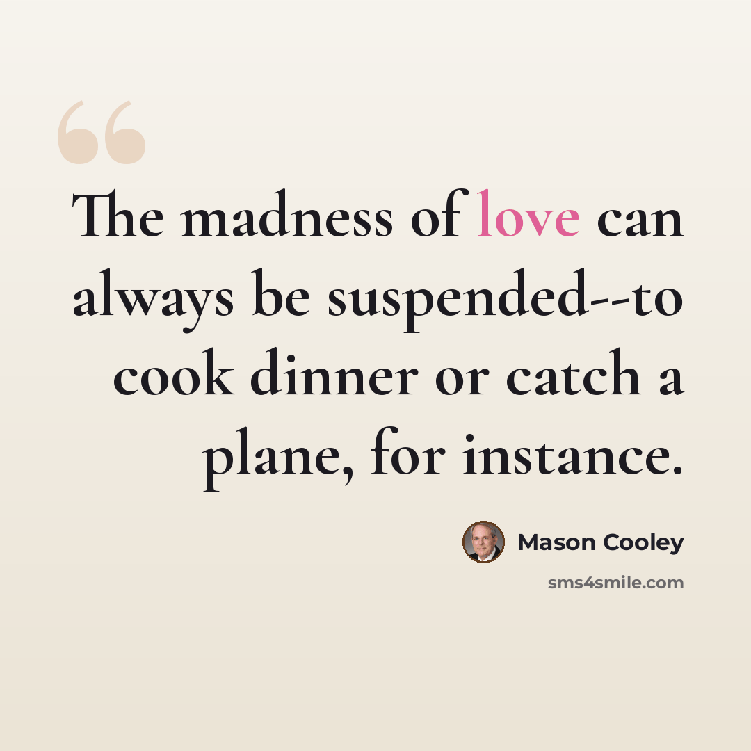 “The madness of love can always be suspended--to cook dinner or catch a plane, for instance.” quote by Mason Cooley