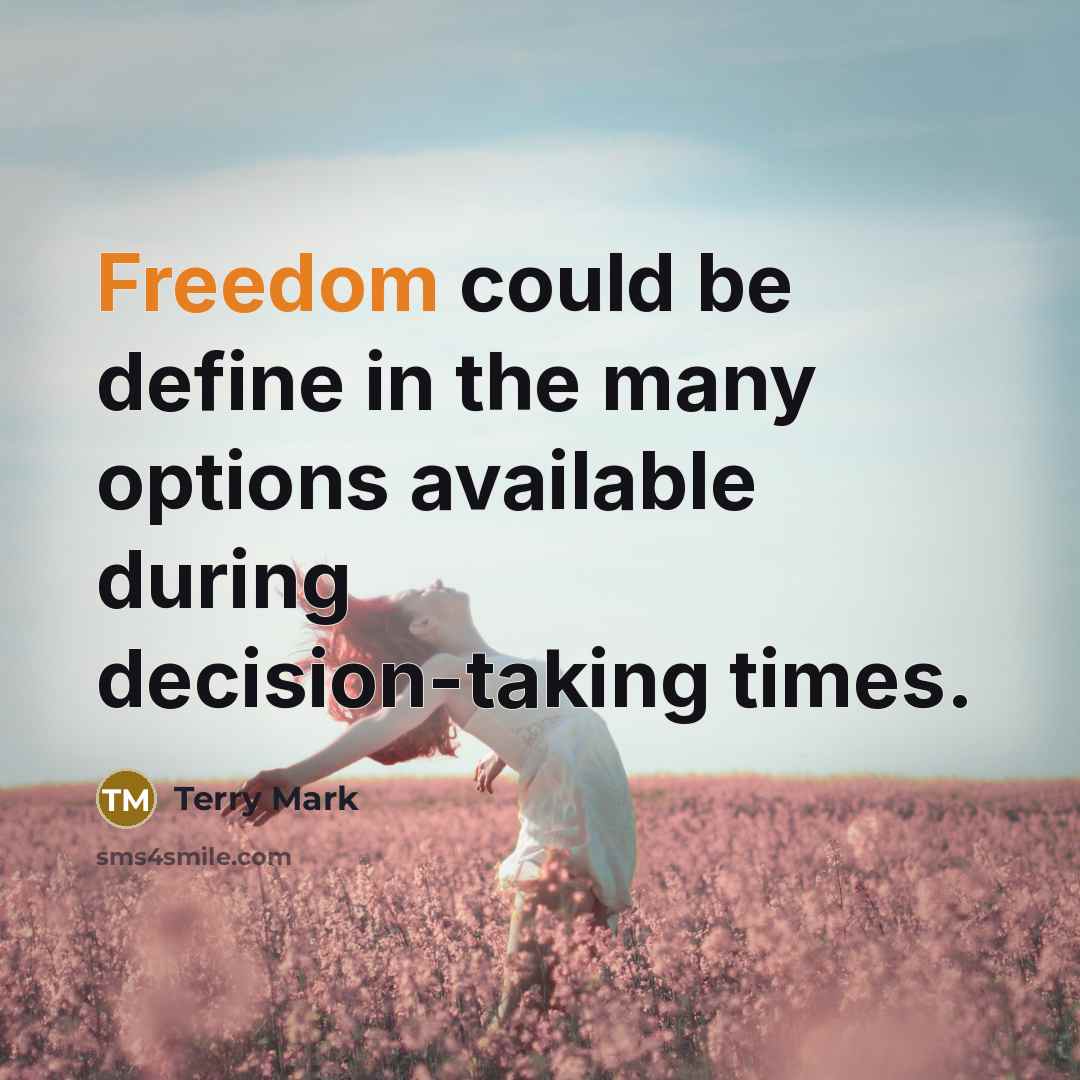 “Freedom could be define in the many options available during decision-taking times.” quote by Terry Mark