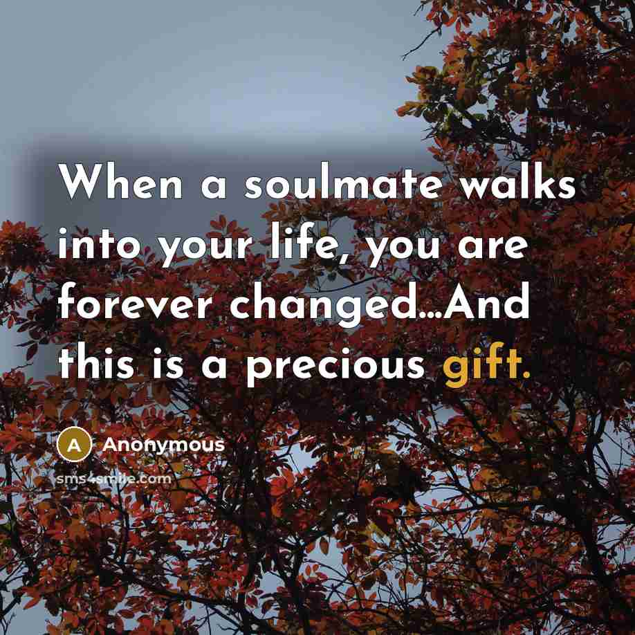 “When a soulmate walks into your life, you are forever changed...And this is a precious gift.” quote by Anonymous