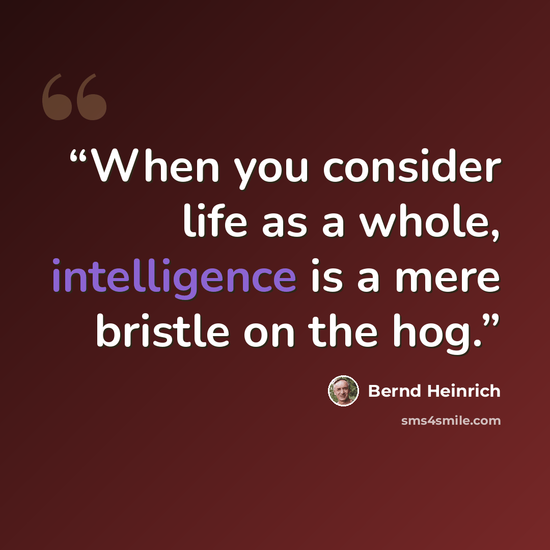 “When you consider life as a whole, intelligence is a mere bristle on the hog.” quote by Bernd Heinrich