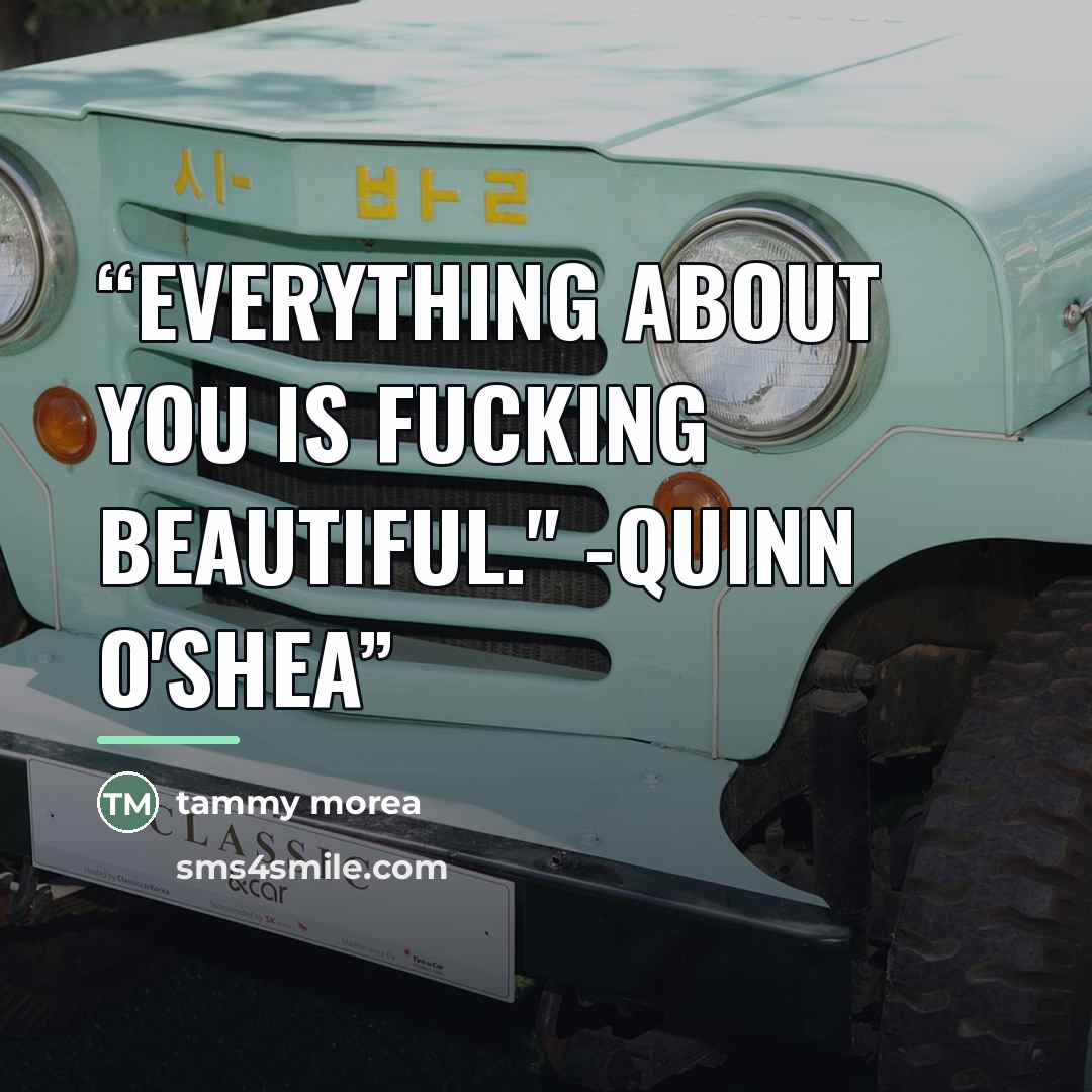 “Everything about you is fucking beautiful." -Quinn O'Shea” quote by Tammy Morea