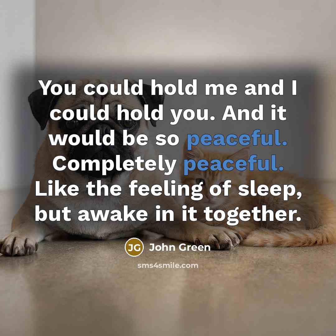 “You could hold me and I could hold you. And it would be so peaceful. Completely peaceful. Like the feeling of sleep, but awake in it together.” quote by John Green