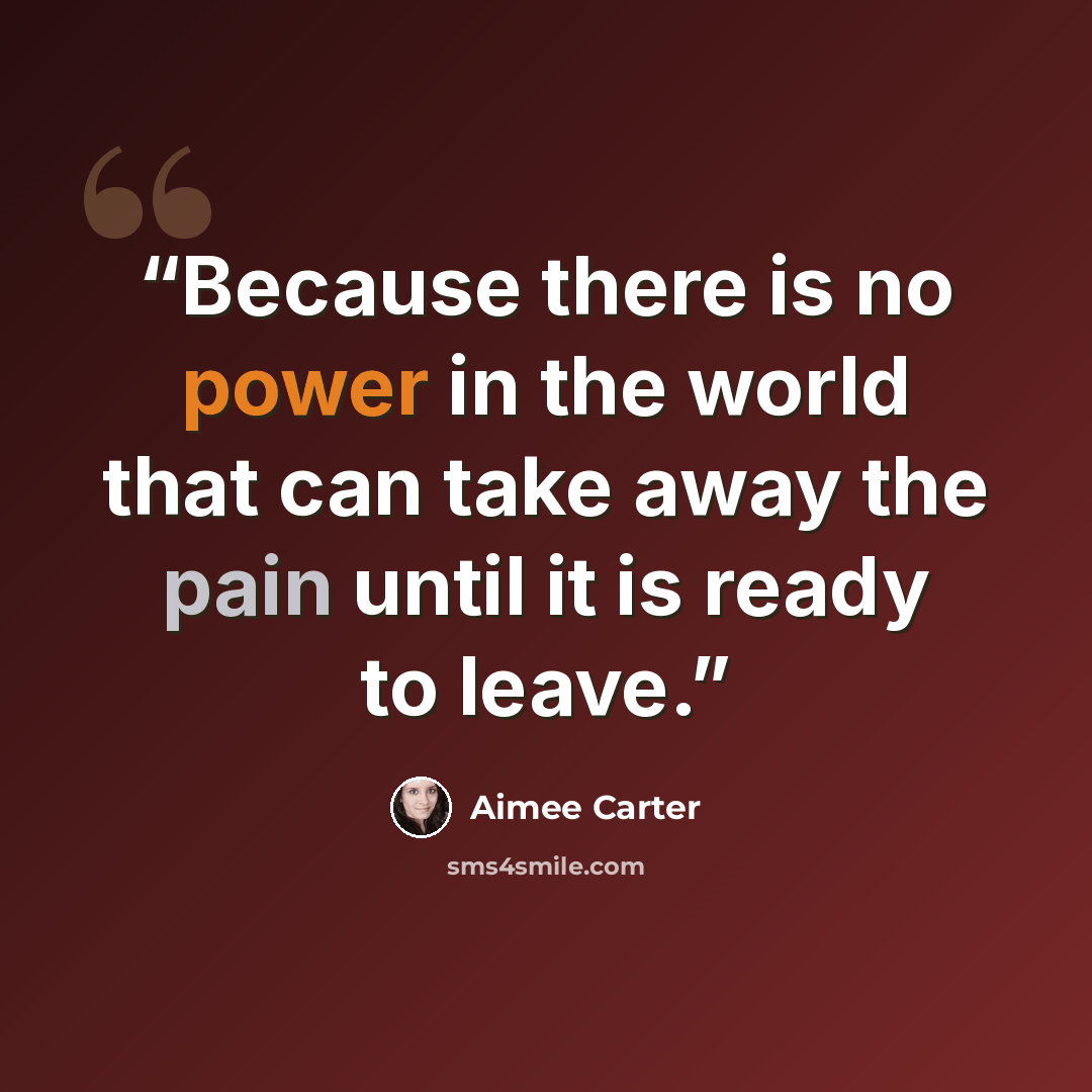 “Because there is no power in the world that can take away the pain until it is ready to leave.” quote by Aimee Carter