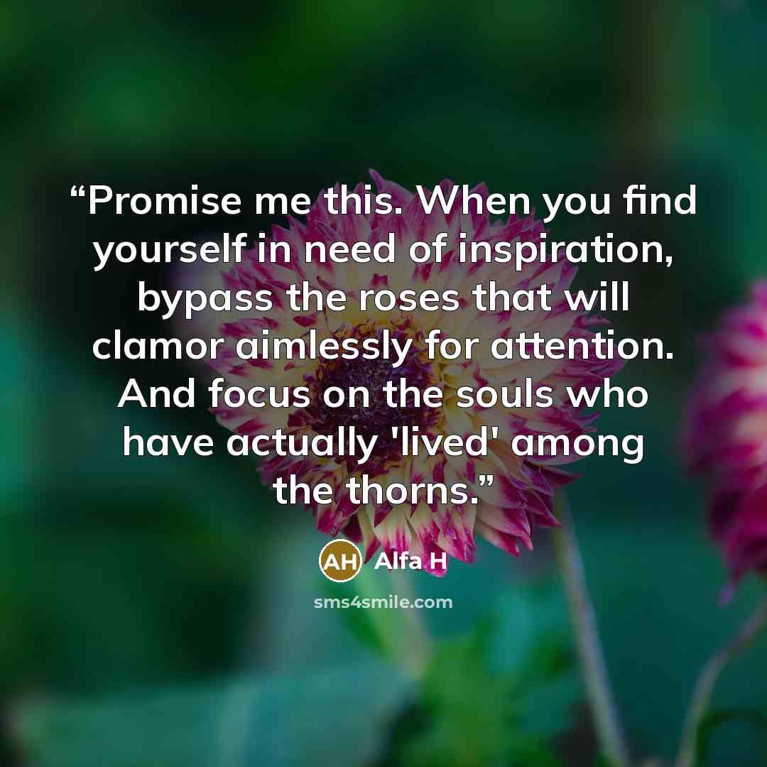 “Promise me this. When you find yourself in need of inspiration, bypass the roses that will clamor aimlessly for attention. And focus on the souls who have actually 'lived' among the thorns.” quote by Alfa H