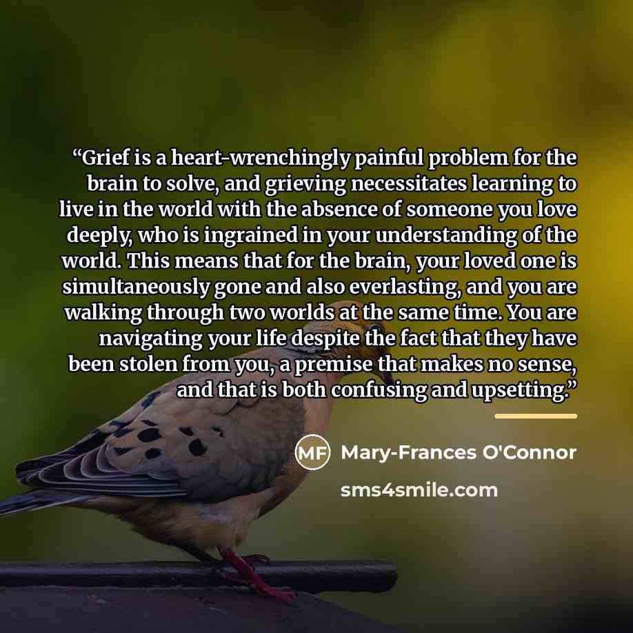 “Grief is a heart-wrenchingly painful problem for the brain to solve, and grieving necessitates learning to live in the world with the absence of someone you love deeply, who is ingrained in your understanding of the world. This means that for the brain, your loved one is simultaneously gone and…” quote by Mary-Frances O'Connor
