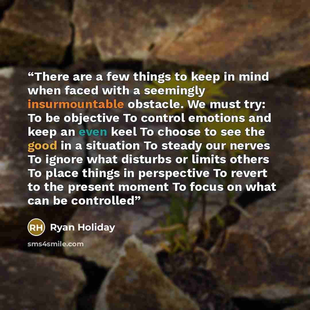 “There are a few things to keep in mind when faced with a seemingly insurmountable obstacle. We must try: To be objective To control emotions and keep an even keel To choose to see the good in a situation To steady our nerves To ignore what disturbs or limits others To place things in perspective…” quote by Ryan Holiday