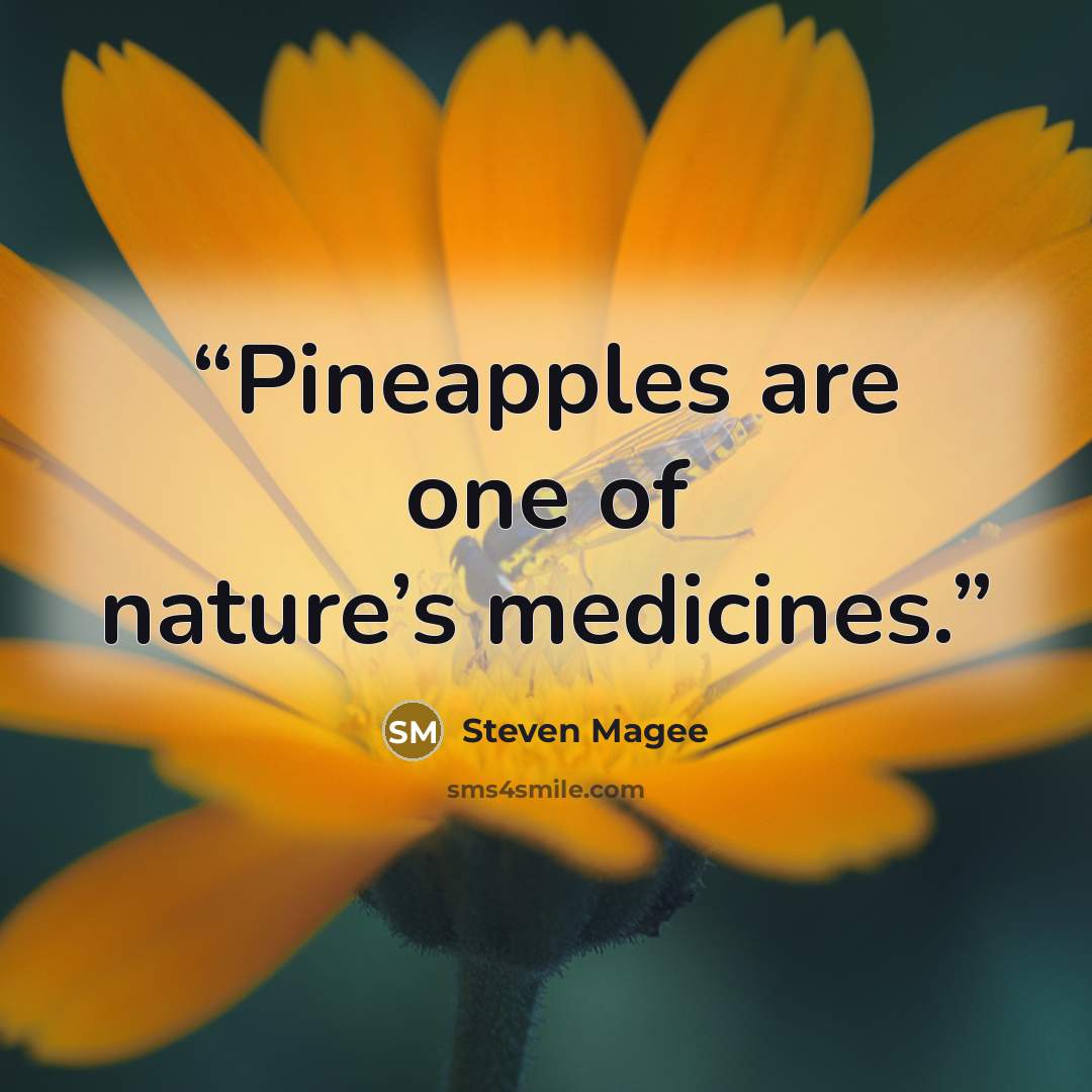 “Pineapples are one of nature’s medicines.” quote by Steven Magee