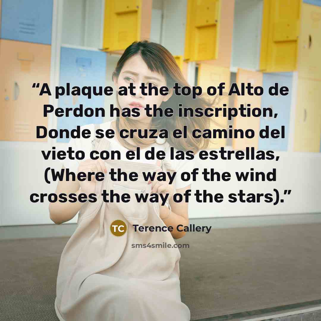 “A plaque at the top of Alto de Perdon has the inscription, Donde se cruza el camino del vieto con el de las estrellas, (Where the way of the wind crosses the way of the stars).” quote by Terence Callery