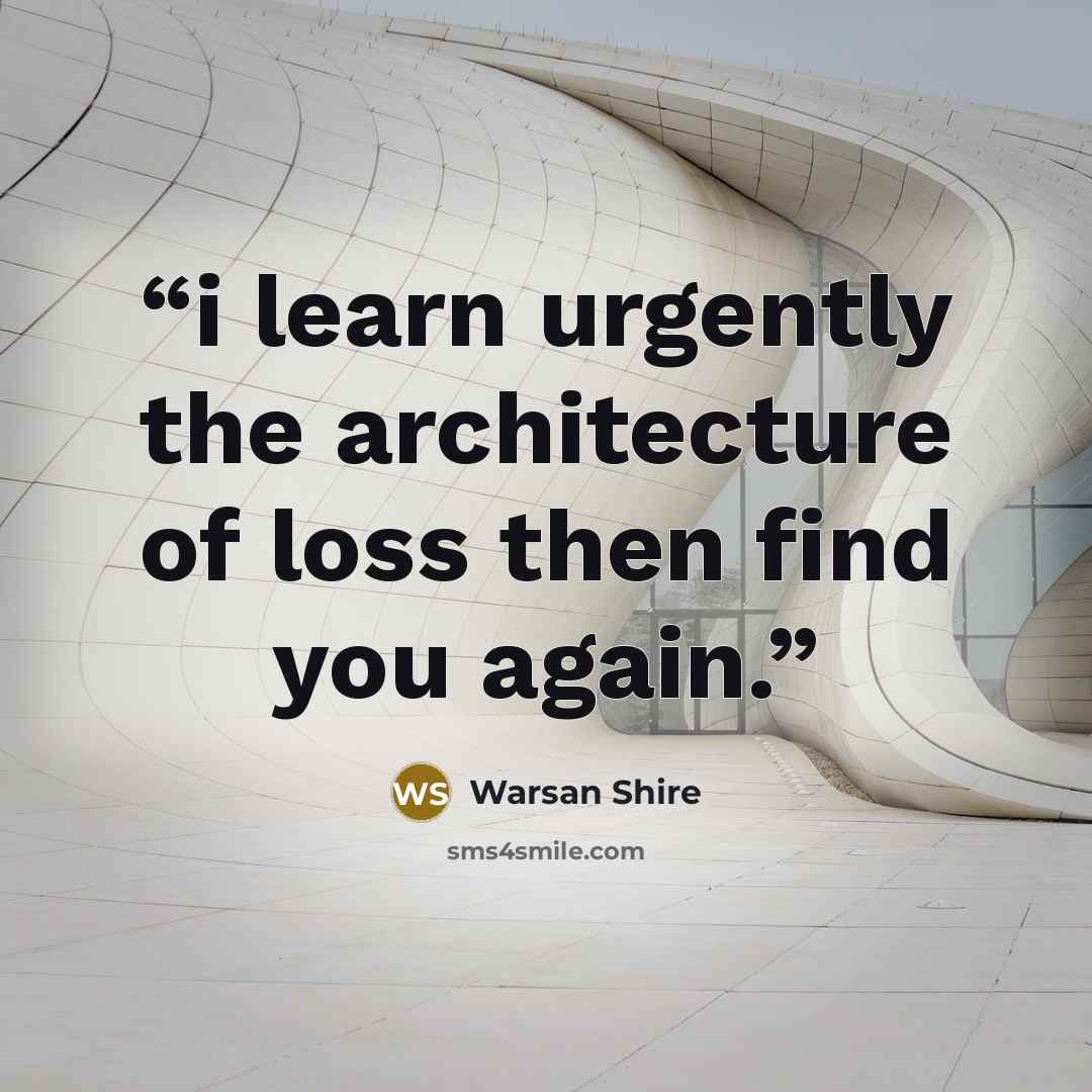 “i learn urgently the architecture of loss then find you again.” quote by Warsan Shire
