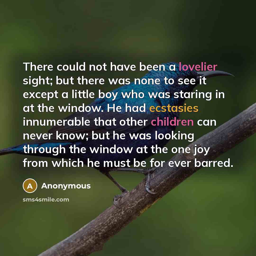 “There could not have been a lovelier sight; but there was none to see it except a little boy who was staring in at the window. He had ecstasies innumerable that other children can never know; but he was looking through the window at the one joy from which he must be for ever barred.” quote by Anonymous
