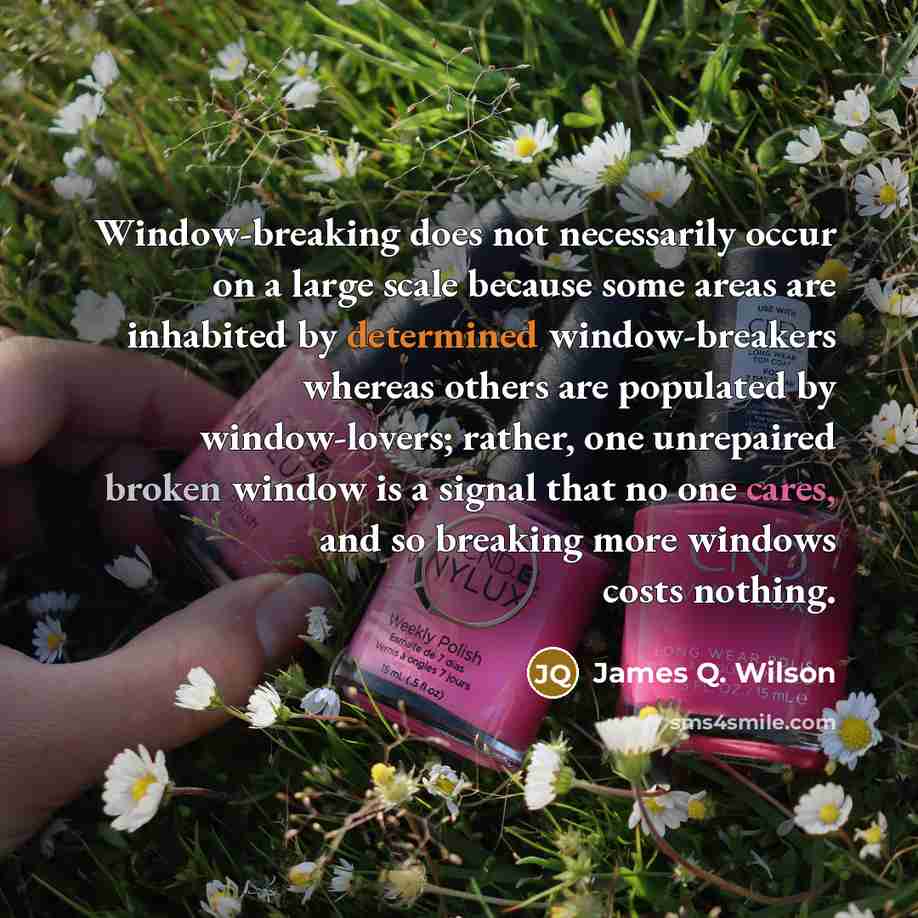 “Window-breaking does not necessarily occur on a large scale because some areas are inhabited by determined window-breakers whereas others are populated by window-lovers; rather, one unrepaired broken window is a signal that no one cares, and so breaking more windows costs nothing.” quote by James Q. Wilson