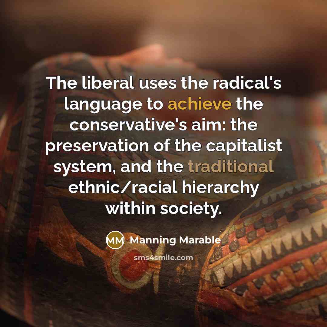 “The liberal uses the radical's language to achieve the conservative's aim: the preservation of the capitalist system, and the traditional ethnic/racial hierarchy within society.” quote by Manning Marable