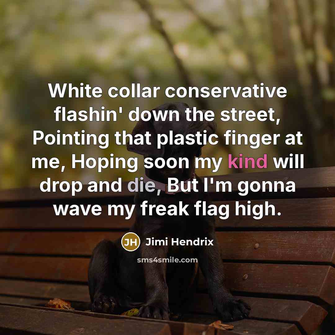 “White collar conservative flashin' down the street, Pointing that plastic finger at me, Hoping soon my kind will drop and die, But I'm gonna wave my freak flag high.” quote by Jimi Hendrix