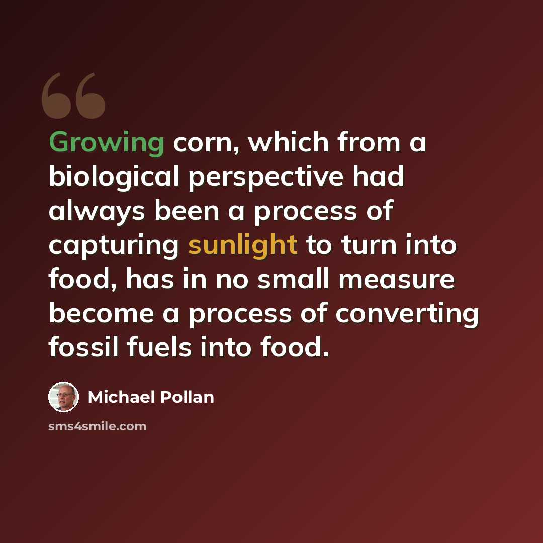 “Growing corn, which from a biological perspective had always been a process of capturing sunlight to turn into food, has in no small measure become a process of converting fossil fuels into food.” quote by Michael Pollan