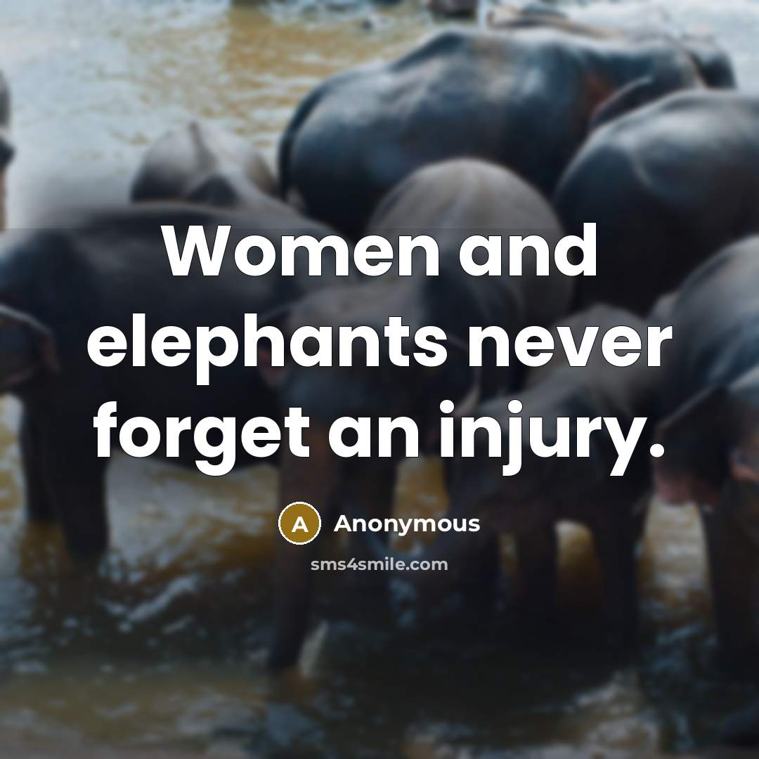 “Women and elephants never forget an injury.” quote by Anonymous
