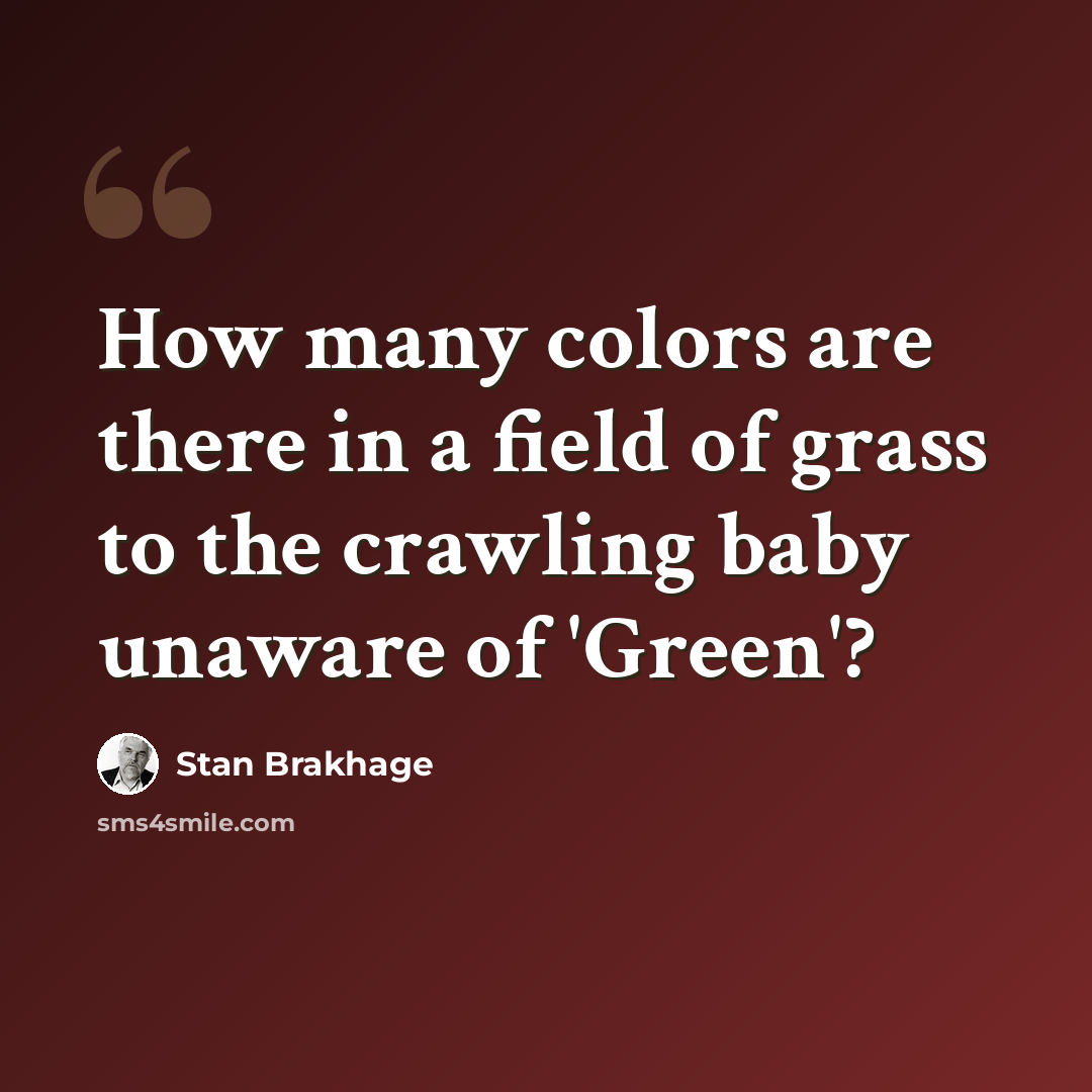 “How many colors are there in a field of grass to the crawling baby unaware of 'Green'?” quote by Stan Brakhage