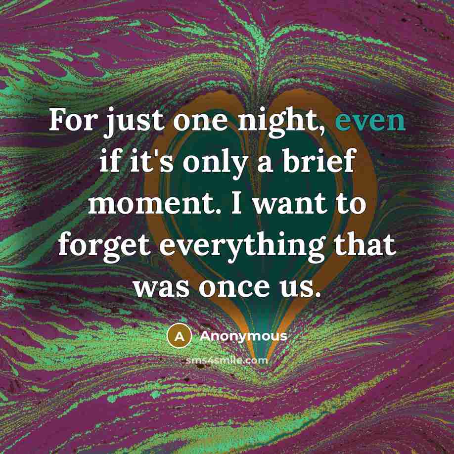 “For just one night, even if it's only a brief moment. I want to forget everything that was once us.” quote by Anonymous