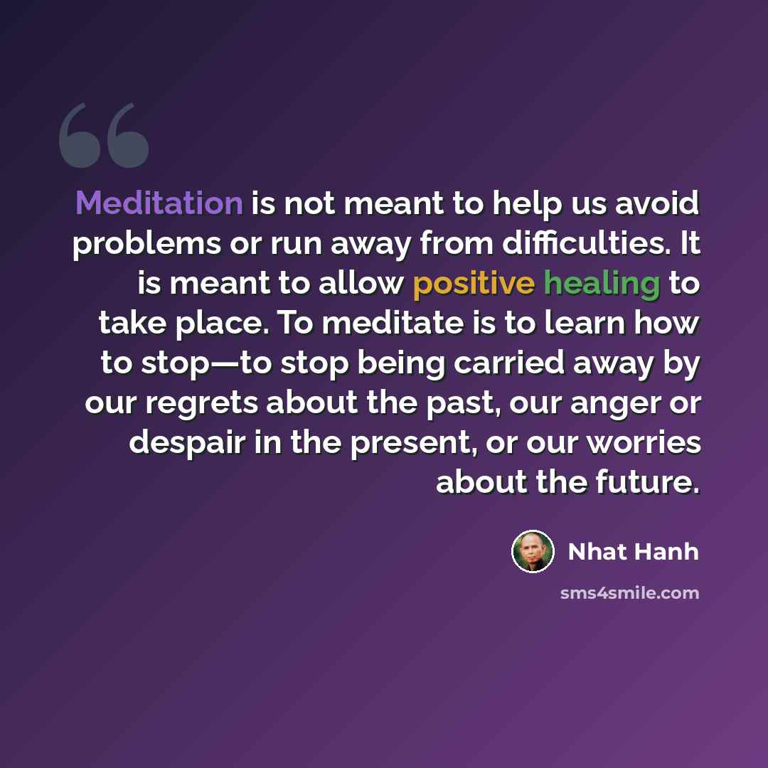 “Meditation is not meant to help us avoid problems or run away from difficulties. It is meant to allow positive healing to take place. To meditate is to learn how to stop—to stop being carried away by our regrets about the past, our anger or despair in the present, or our worries about the future.” quote by Nhat Hanh