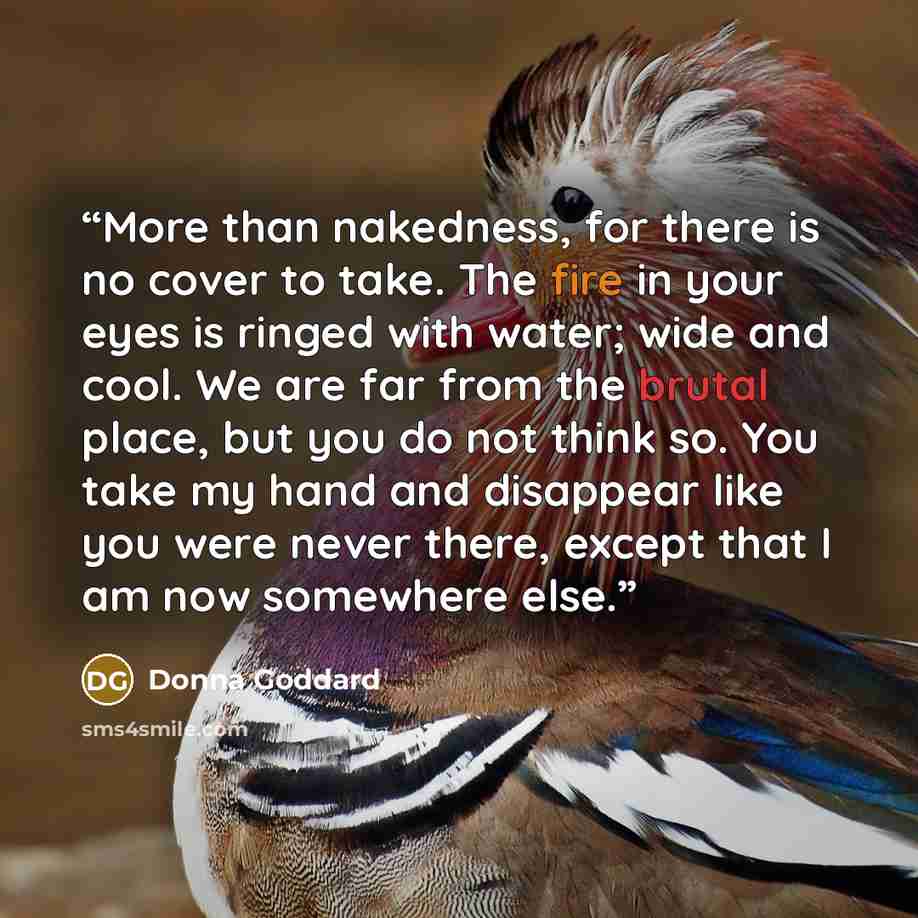 “More than nakedness, for there is no cover to take. The fire in your eyes is ringed with water; wide and cool. We are far from the brutal place, but you do not think so. You take my hand and disappear like you were never there, except that I am now somewhere else.” quote by Donna Goddard