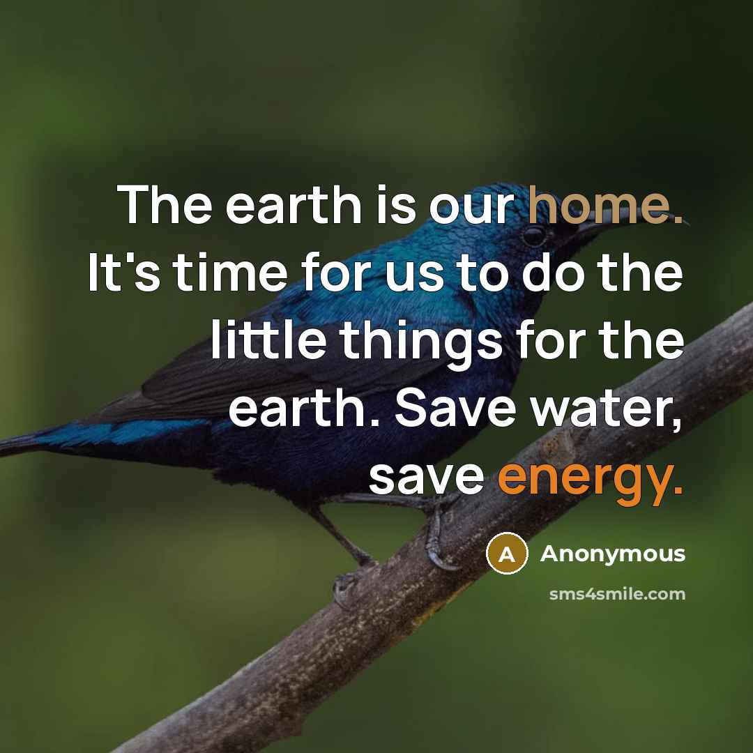“The earth is our home. It's time for us to do the little things for the earth. Save water, save energy.” quote by Anonymous