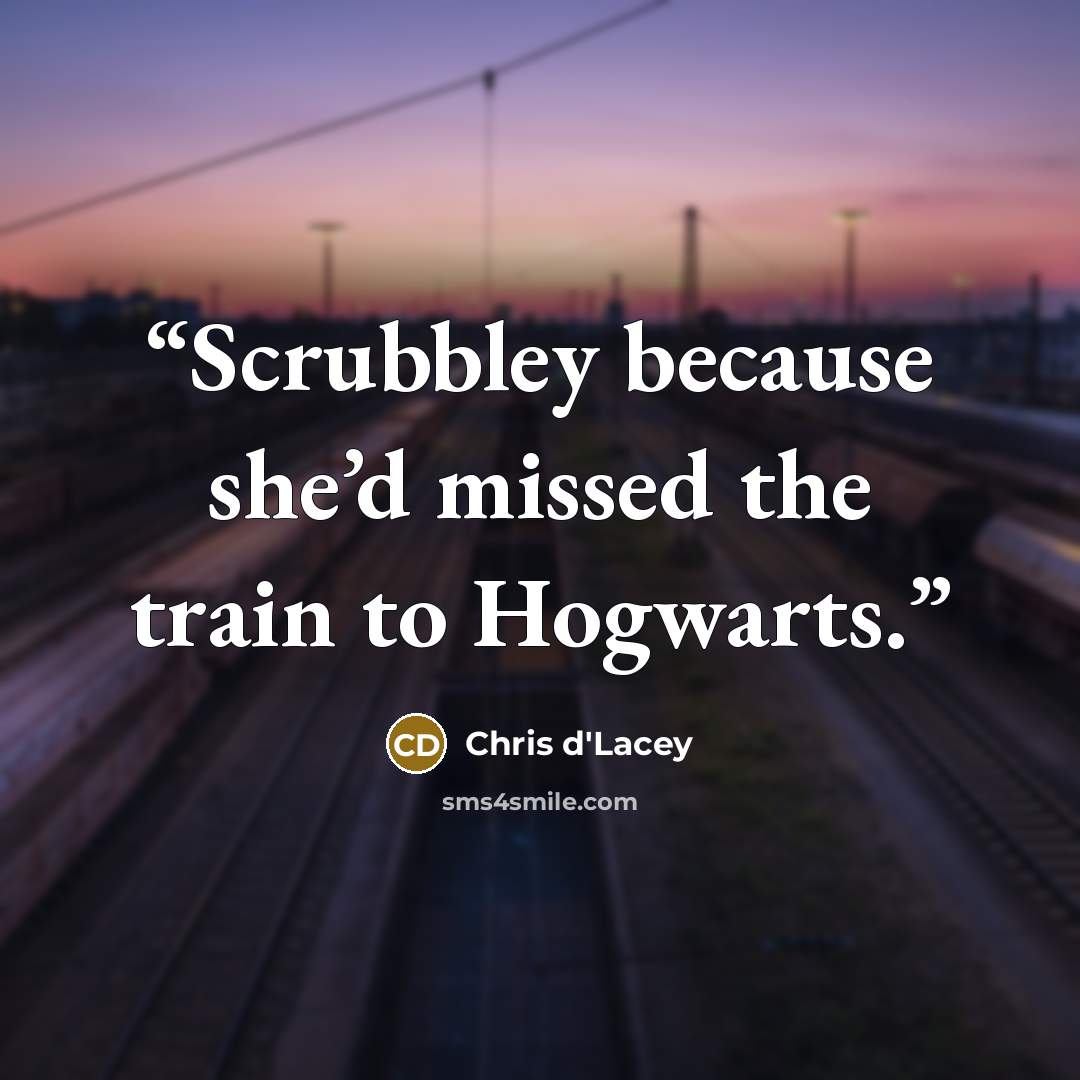 “Scrubbley because she’d missed the train to Hogwarts.” quote by Chris d'Lacey