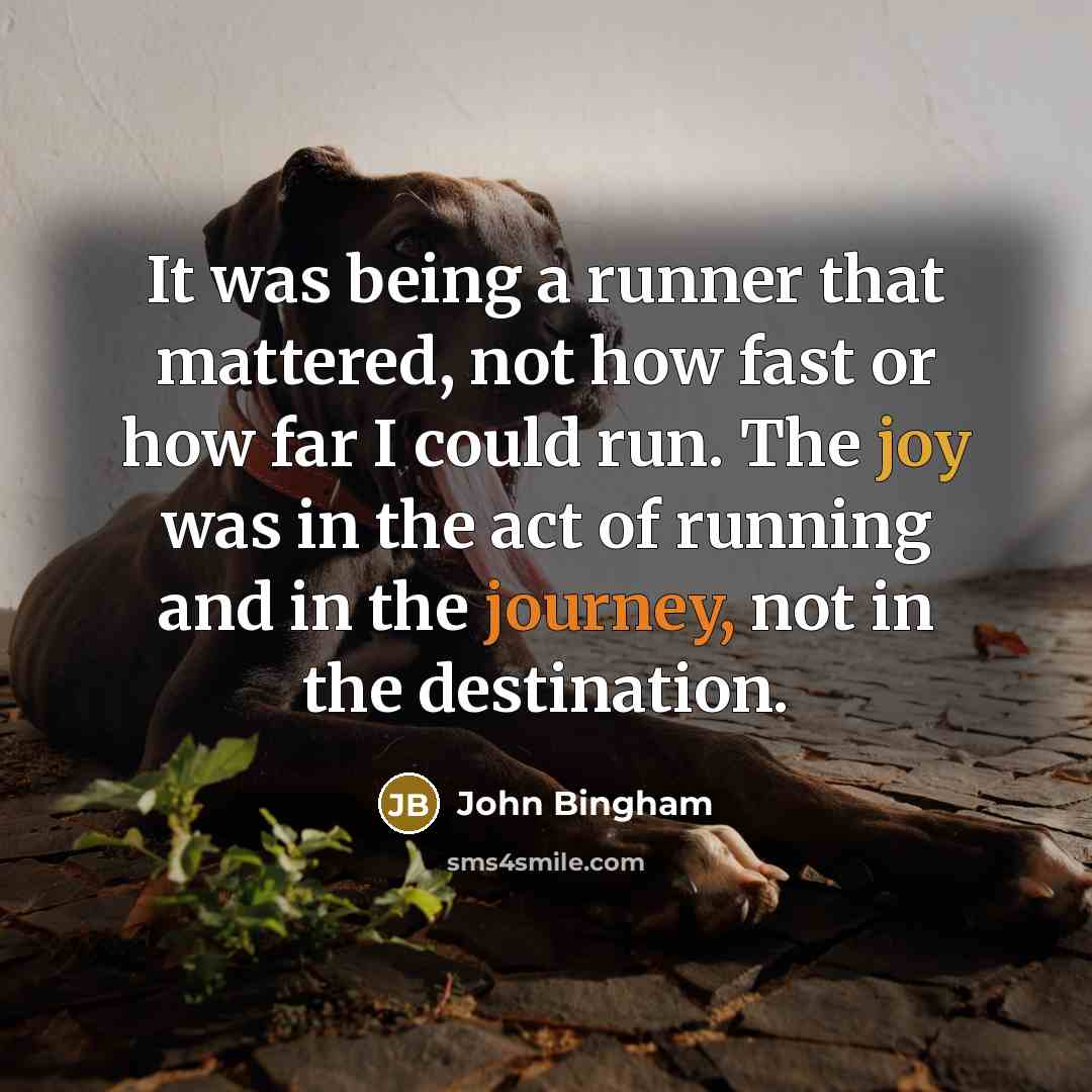 “It was being a runner that mattered, not how fast or how far I could run. The joy was in the act of running and in the journey, not in the destination.” quote by John Bingham
