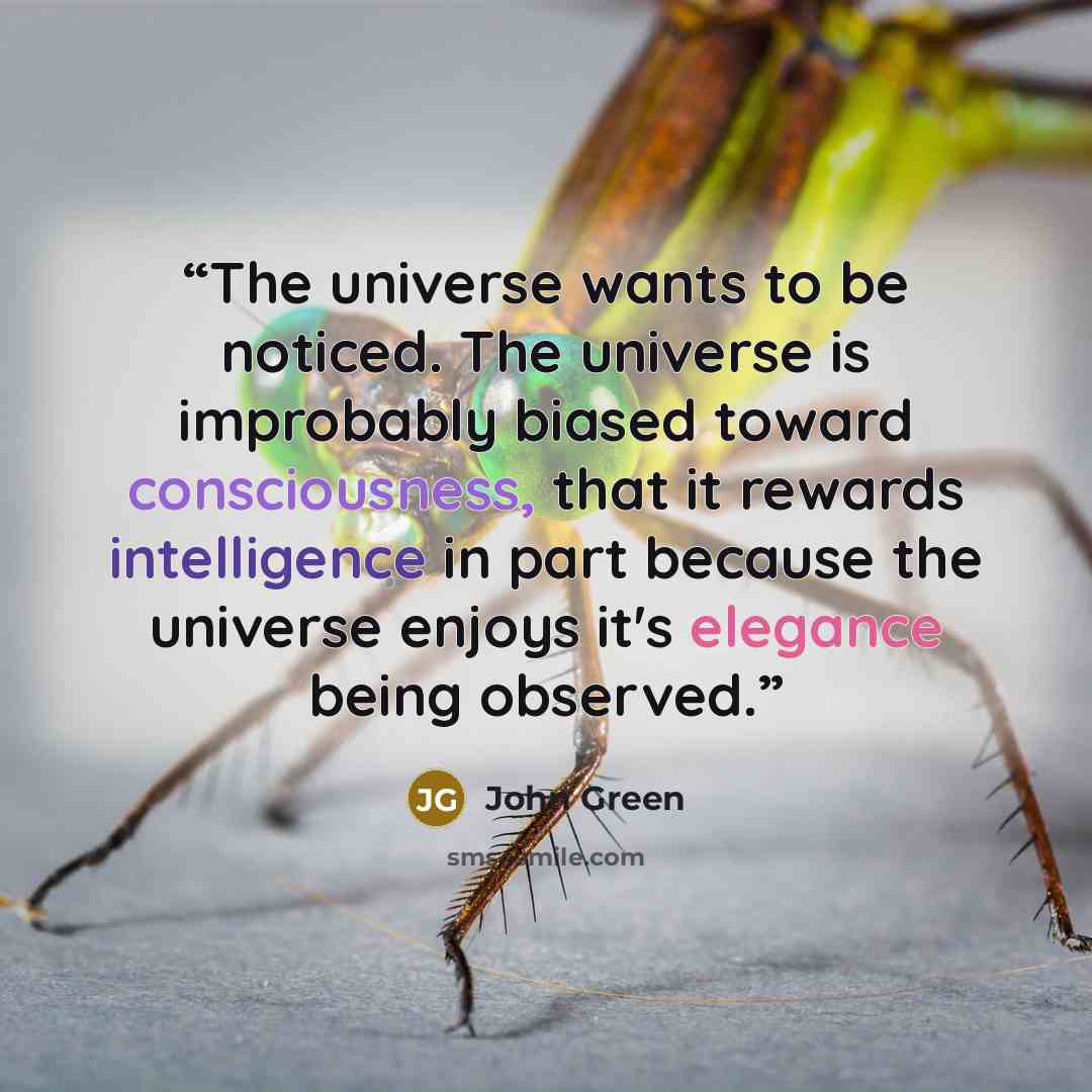 “The universe wants to be noticed. The universe is improbably biased toward consciousness, that it rewards intelligence in part because the universe enjoys it's elegance being observed.” quote by John Green