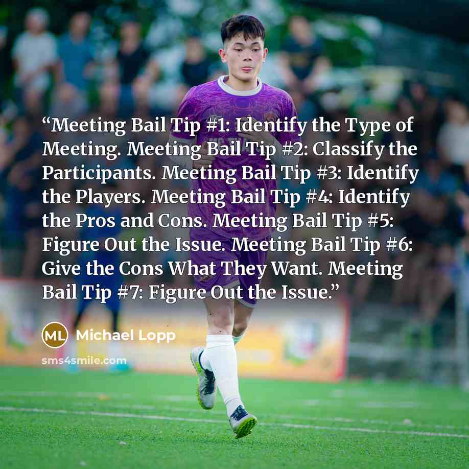 “Meeting Bail Tip #1: Identify the Type of Meeting. Meeting Bail Tip #2: Classify the Participants. Meeting Bail Tip #3: Identify the Players. Meeting Bail Tip #4: Identify the Pros and Cons. Meeting Bail Tip #5: Figure Out the Issue. Meeting Bail Tip #6: Give the Cons What They Want. Meeting Bail…” quote by Michael Lopp
