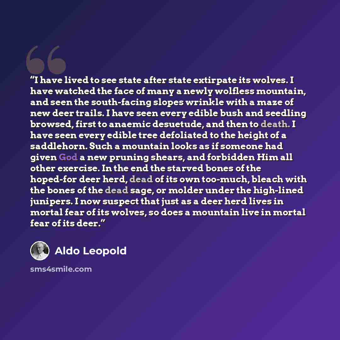 “I have lived to see state after state extirpate its wolves. I have watched the face of many a newly wolfless mountain, and seen the south-facing slopes wrinkle with a maze of new deer trails. I have seen every edible bush and seedling browsed, first to anaemic desuetude, and then to death. I have…” quote by Aldo Leopold