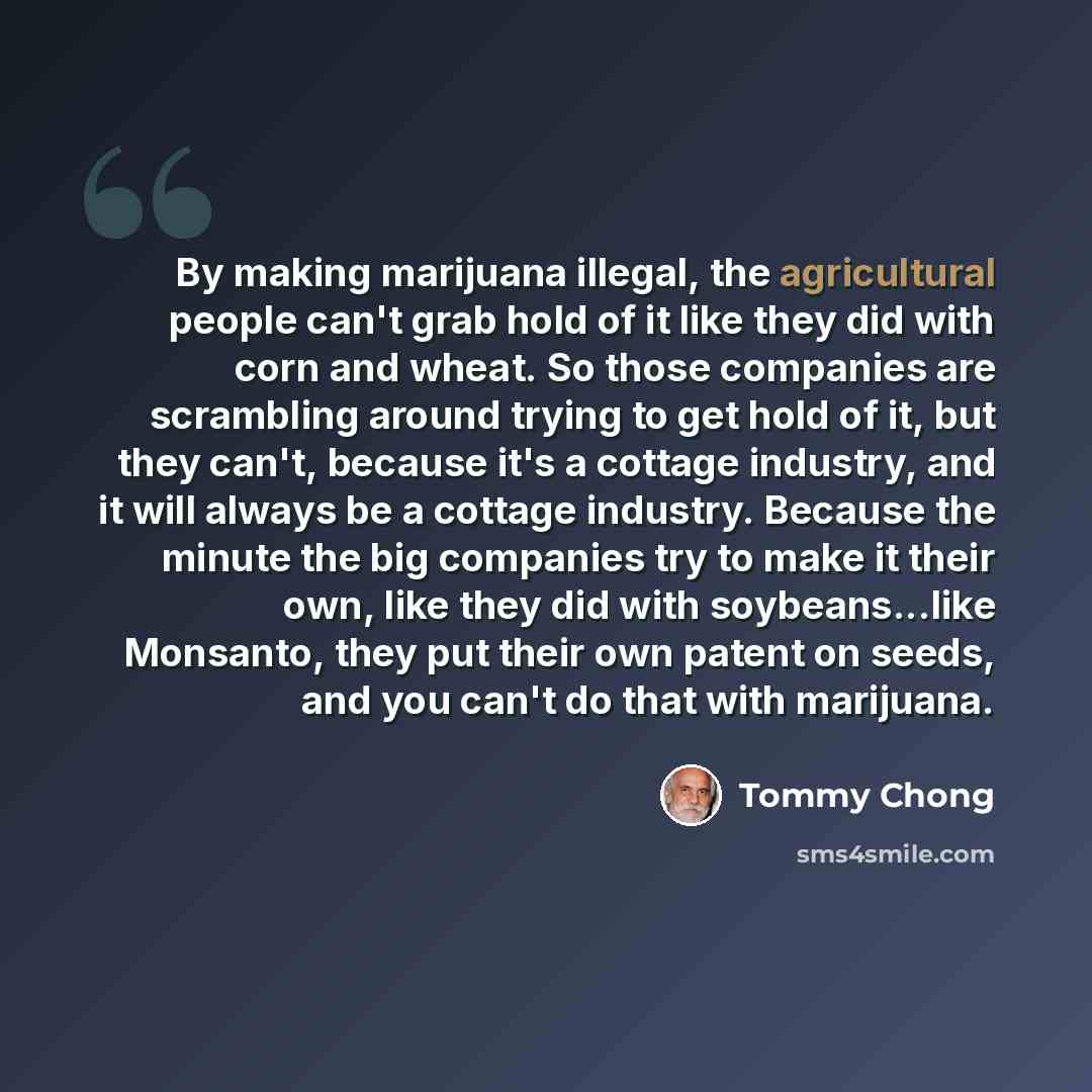“By making marijuana illegal, the agricultural people can't grab hold of it like they did with corn and wheat. So those companies are scrambling around trying to get hold of it, but they can't, because it's a cottage industry, and it will always be a cottage industry. Because the minute the big…” quote by Tommy Chong