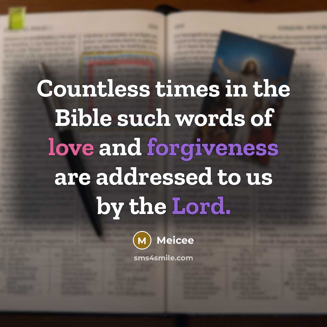 “Countless times in the Bible such words of love and forgiveness are addressed to us by the Lord.” quote by Meicee