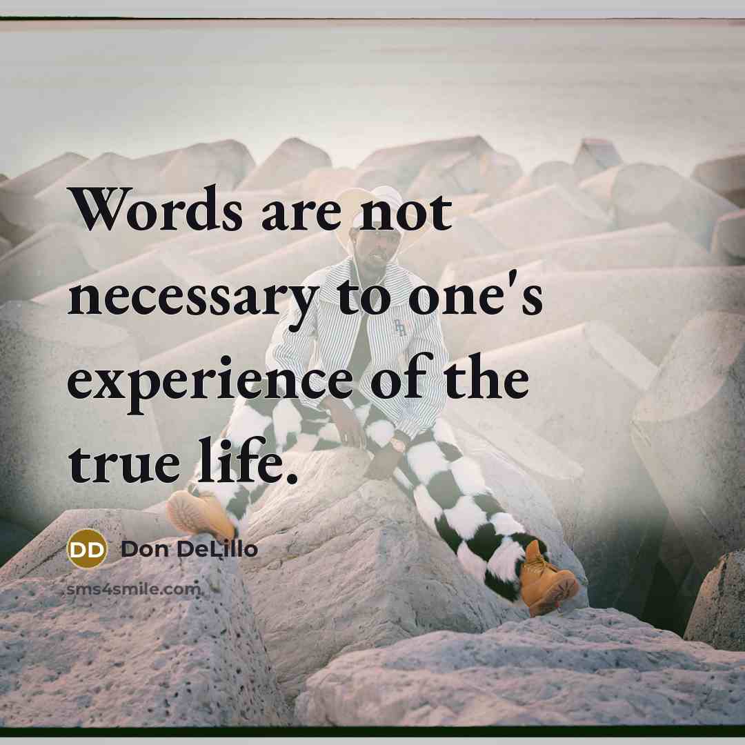 “Words are not necessary to one's experience of the true life.” quote by Don DeLillo