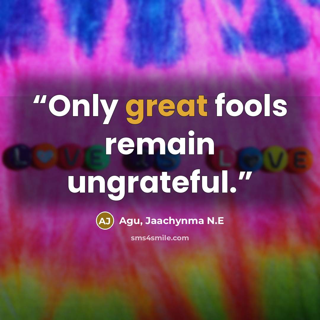 “Only great fools remain ungrateful.” quote by Agu, Jaachynma N.E