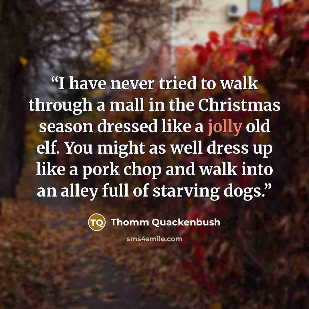 “I have never tried to walk through a mall in the Christmas season dressed like a jolly old elf. You might as well dress up like a pork chop and walk into an alley full of starving dogs.” quote by Thomm Quackenbush