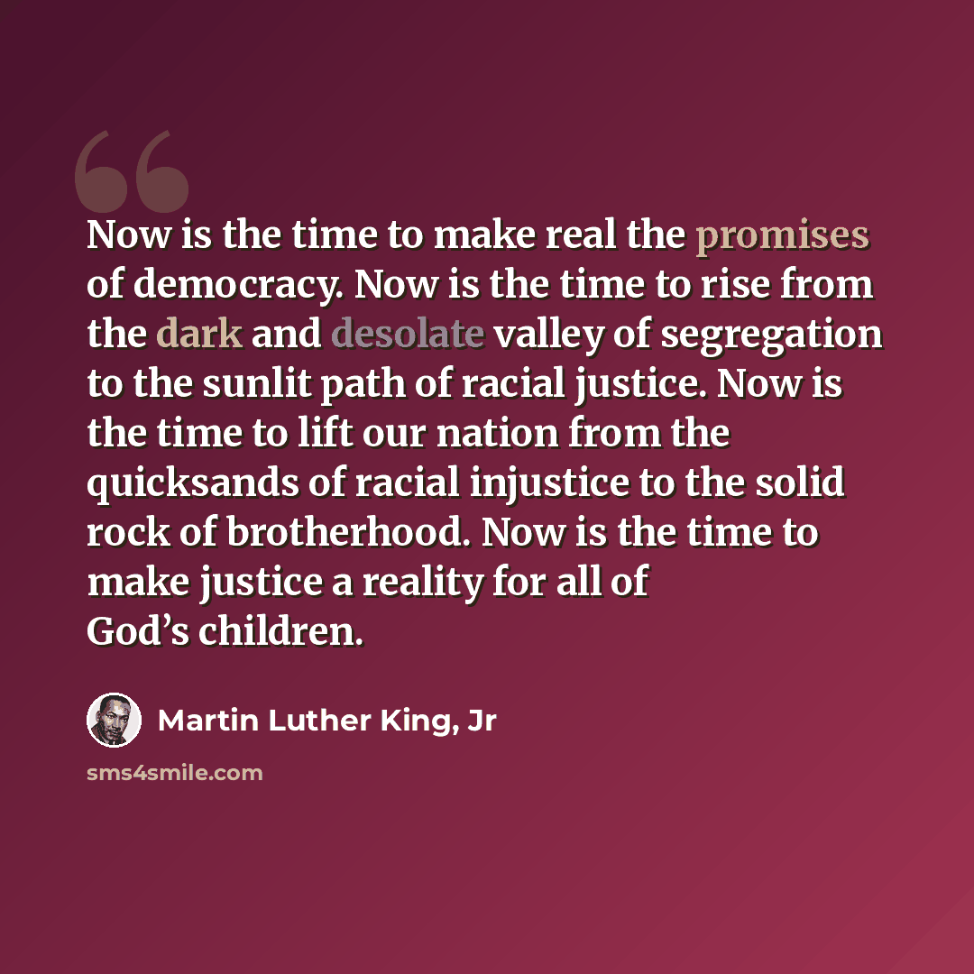 “Now is the time to make real the promises of democracy. Now is the time to rise from the dark and desolate valley of segregation to the sunlit path of racial justice. Now is the time to lift our nation from the quicksands of racial injustice to the solid rock of brotherhood. Now is the time to…” quote by Martin Luther King, Jr