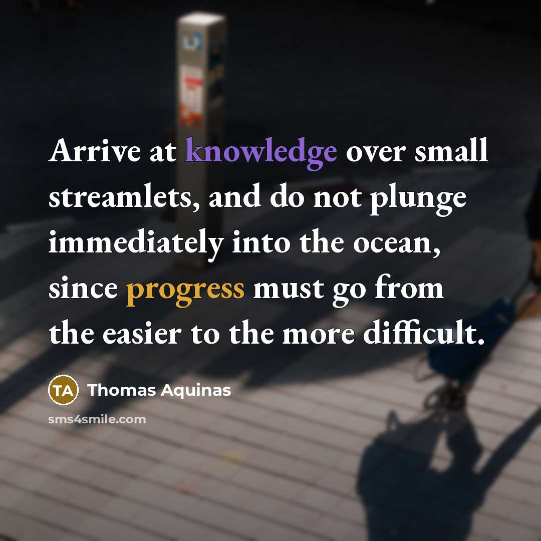“Arrive at knowledge over small streamlets, and do not plunge immediately into the ocean, since progress must go from the easier to the more difficult.” quote by Thomas Aquinas