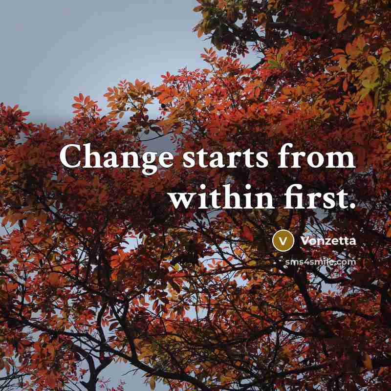 “Change starts from within first.” quote by Vonzetta