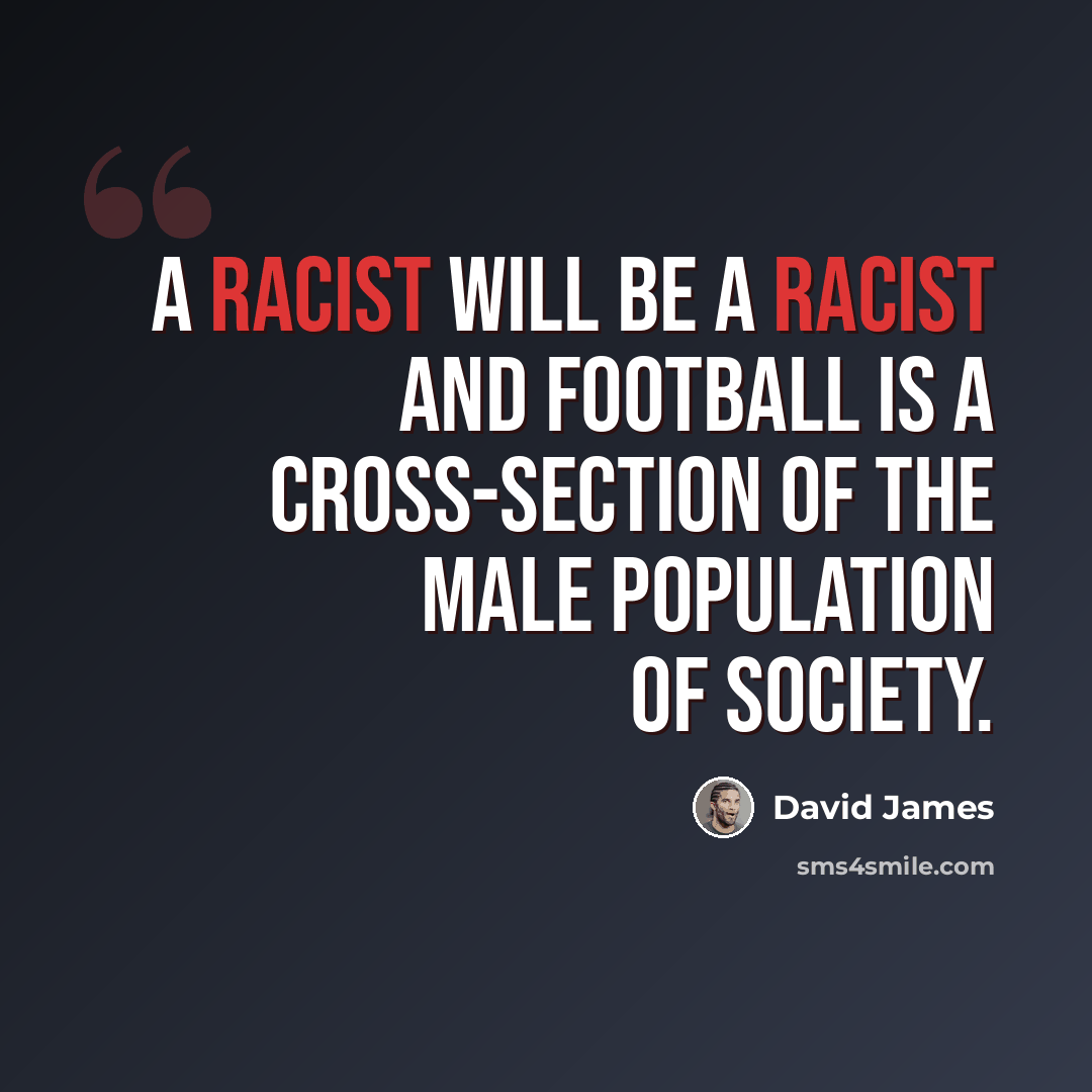 “A racist will be a racist and football is a cross-section of the male population of society.” quote by David James