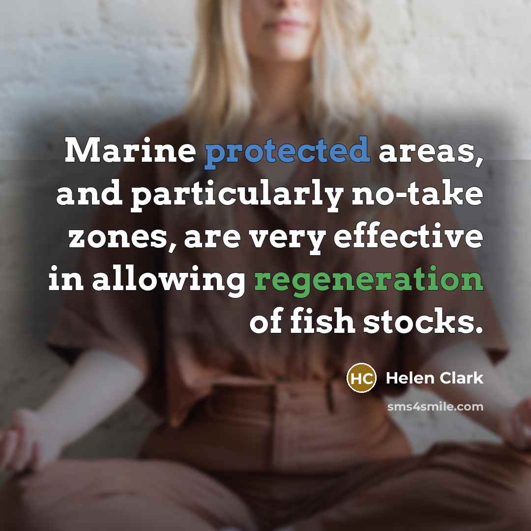 “Marine protected areas, and particularly no-take zones, are very effective in allowing regeneration of fish stocks.” quote by Helen Clark