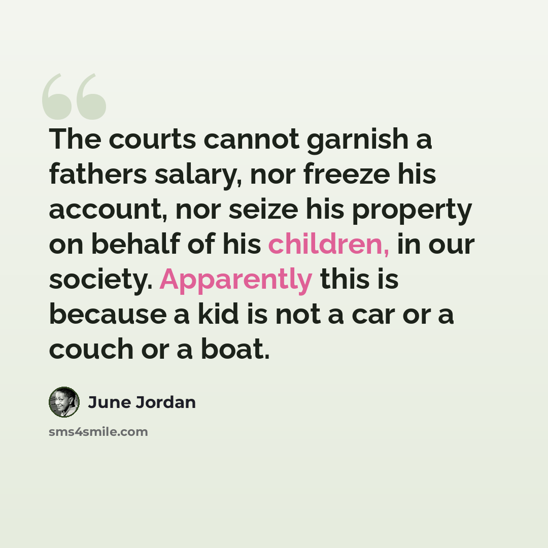 “The courts cannot garnish a fathers salary, nor freeze his account, nor seize his property on behalf of his children, in our society. Apparently this is because a kid is not a car or a couch or a boat.” quote by June Jordan