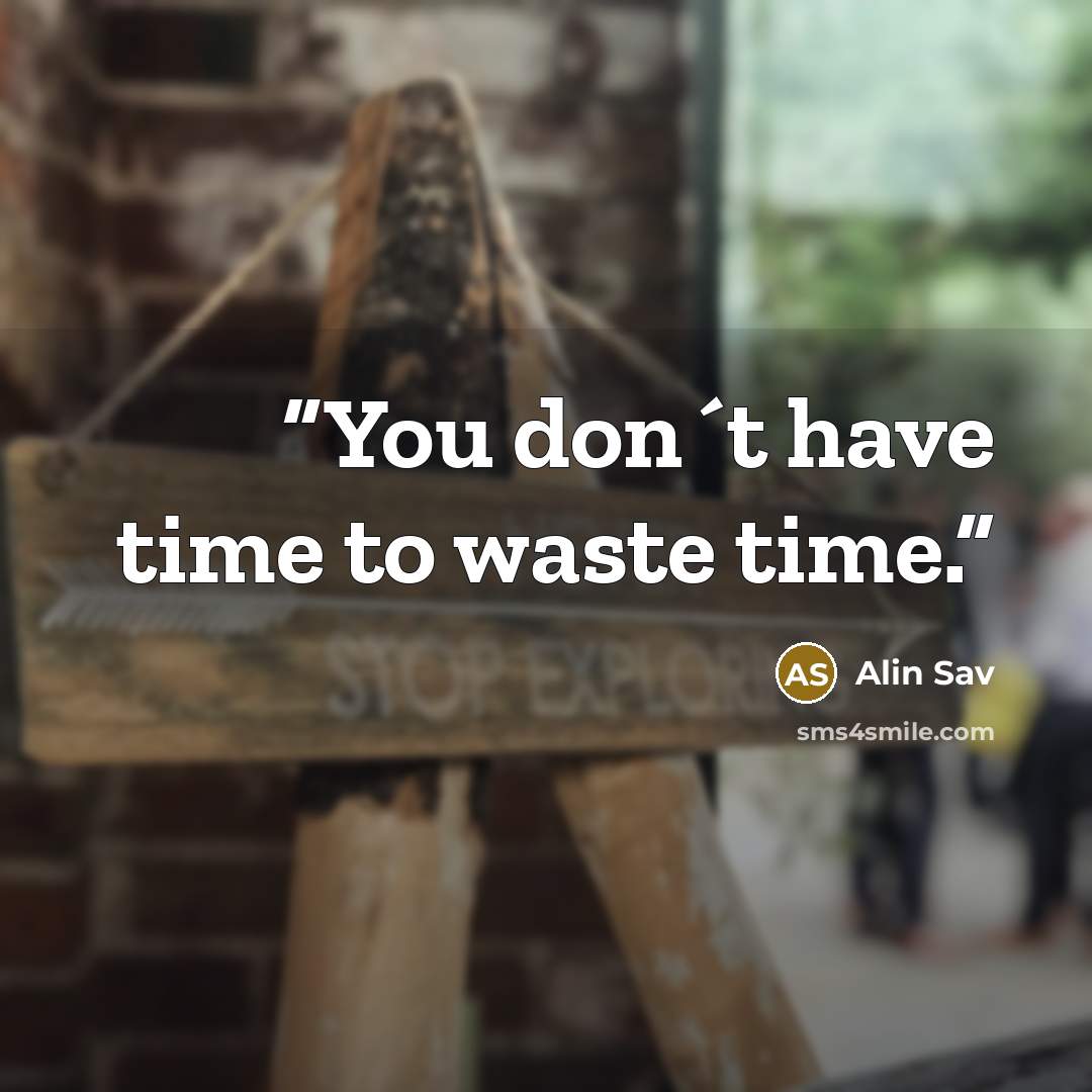 “You don´t have time to waste time.” quote by Alin Sav