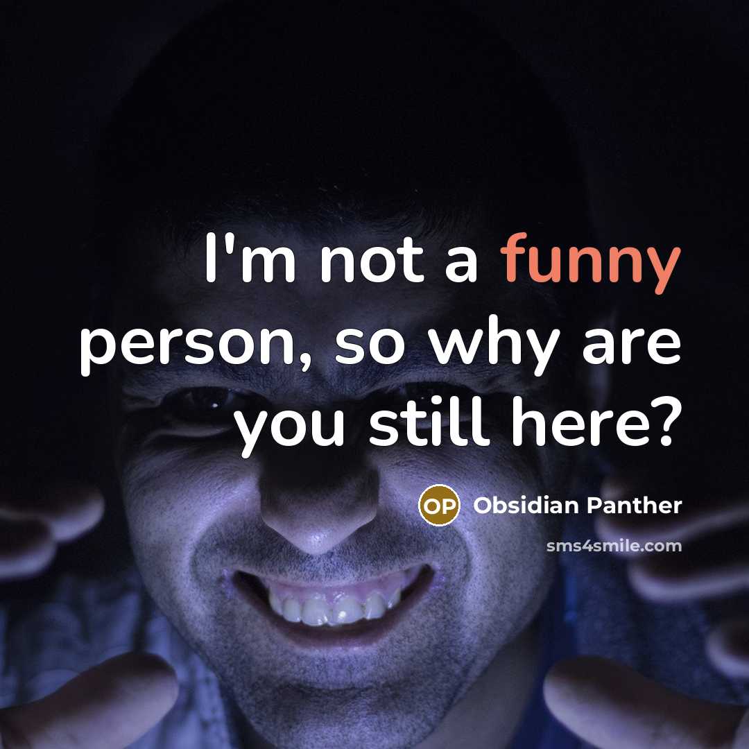 “I'm not a funny person, so why are you still here?” quote by Obsidian Panther