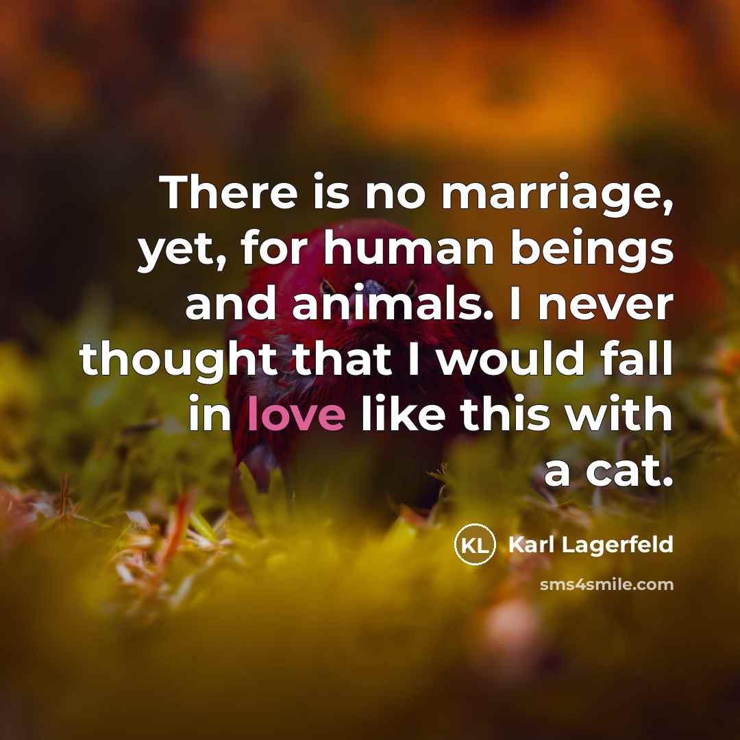 “There is no marriage, yet, for human beings and animals. I never thought that I would fall in love like this with a cat.” quote by Karl Lagerfeld