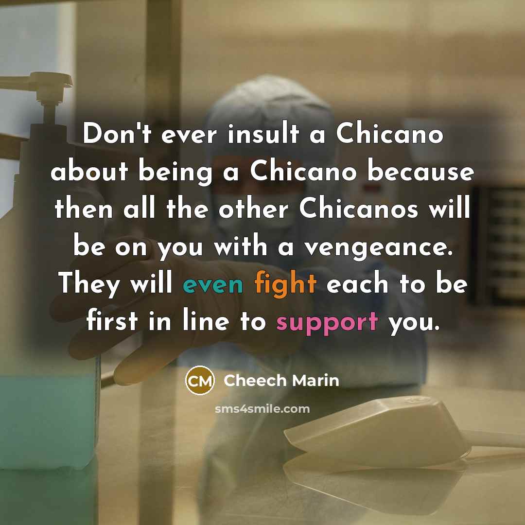 “Don't ever insult a Chicano about being a Chicano because then all the other Chicanos will be on you with a vengeance. They will even fight each to be first in line to support you.” quote by Cheech Marin