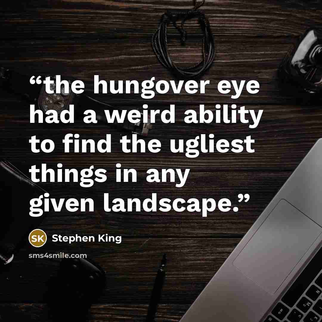“the hungover eye had a weird ability to find the ugliest things in any given landscape.” quote by Stephen King